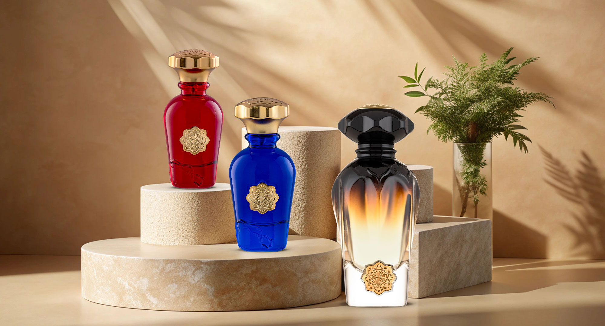 An Extensive Selection of Affordable Perfume Options for Enthusiasts
