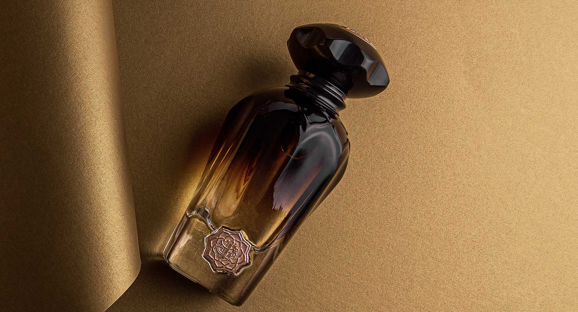 Explore Our Collection: Dive into the World of Popular Woody Perfumes